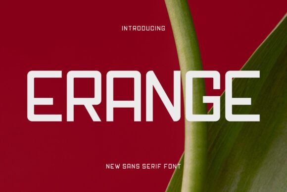 Erange: A Charming Sans Serif for Modern Branding