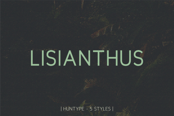 Lisianthus: A Modern Sans Serif Font for Business