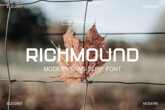 Richmoud: A Unique Sans Serif Font Review