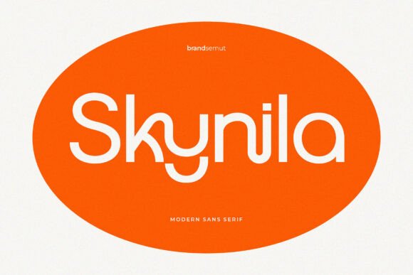 Skynila: The Modern Display Sans Serif for Campaigns